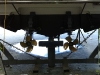 Regal Transom with Antifoul and PropSpeed