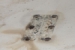 Section of Non Skid requiring repairs Section of Non Skid requiring repairs